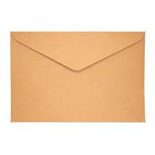 ENVELOP BROWN SHORT